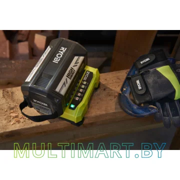 Зарядное устройство Ryobi RY36C60A картинка 3